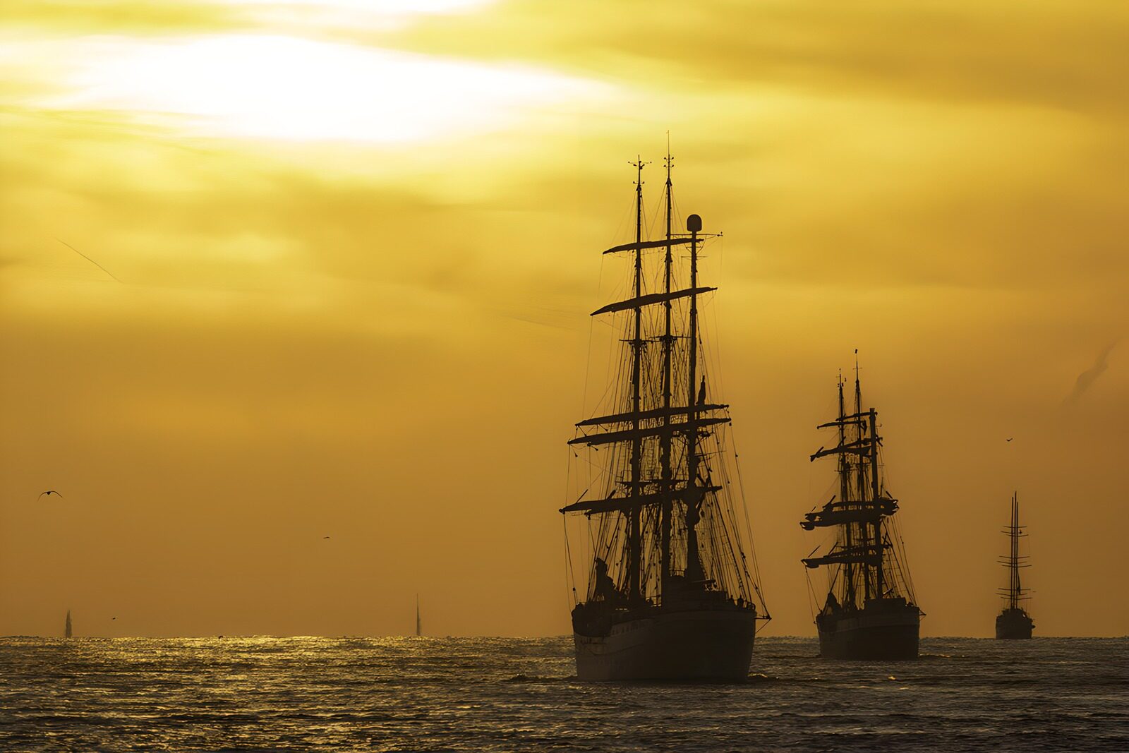 Majestic Tall Ships at Sunset