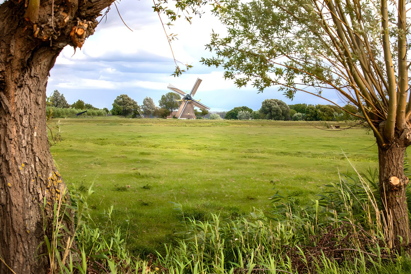Tranquil Dutch Landscape with Windmill