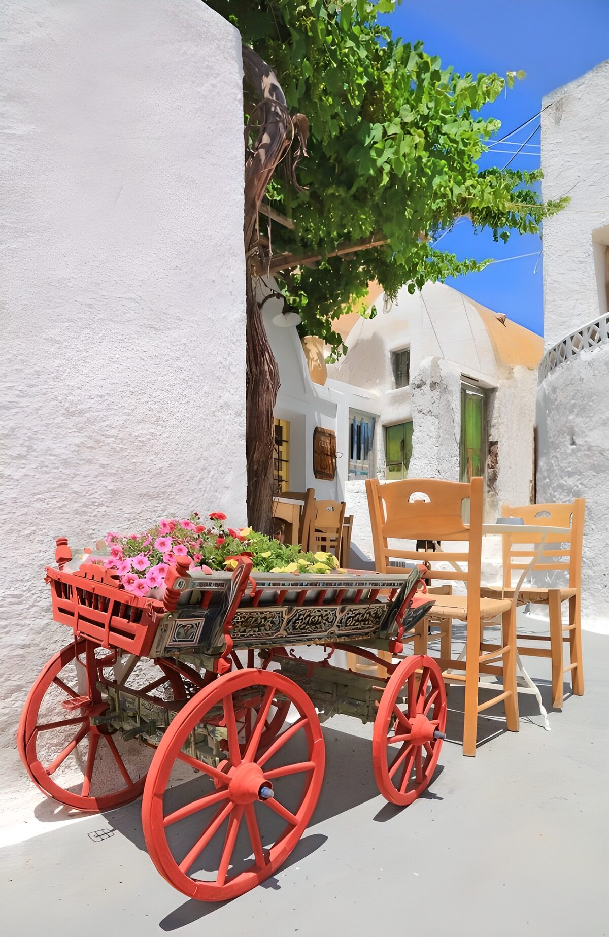 Colorful Floral Cart in a Sunny Alley