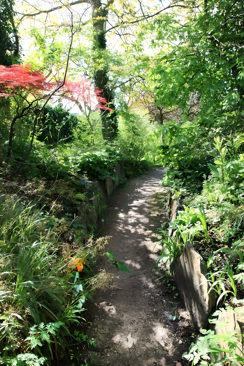Enchanted Garden Pathway