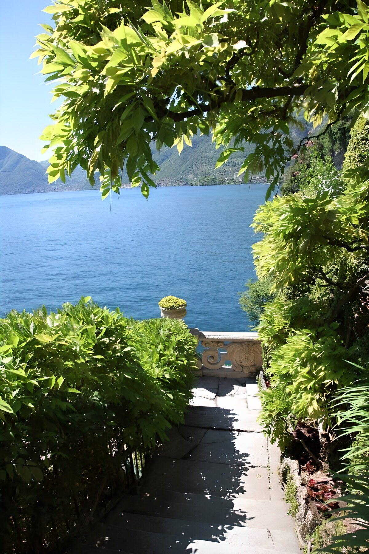 Tranquil Steps to the Lake