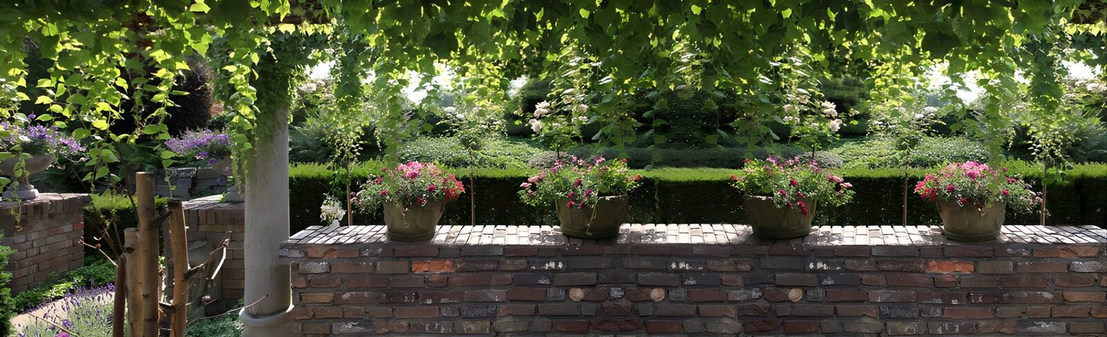Serene Garden Oasis