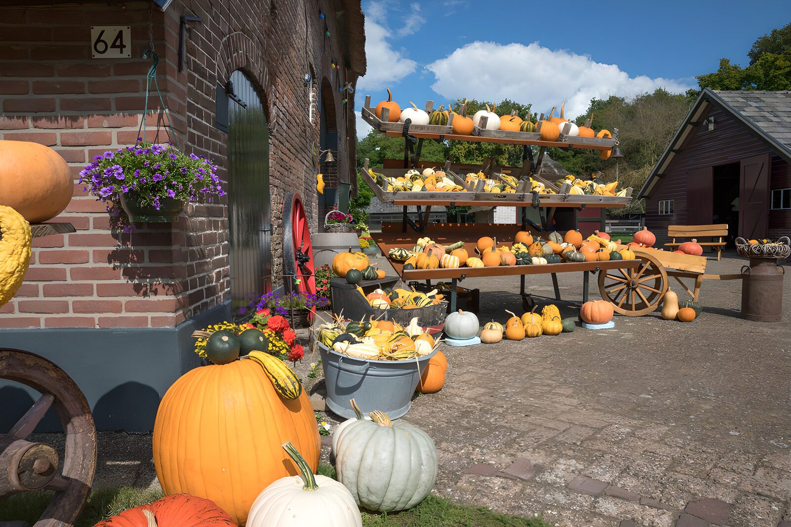 Autumn Harvest at the Pumpkin Stand