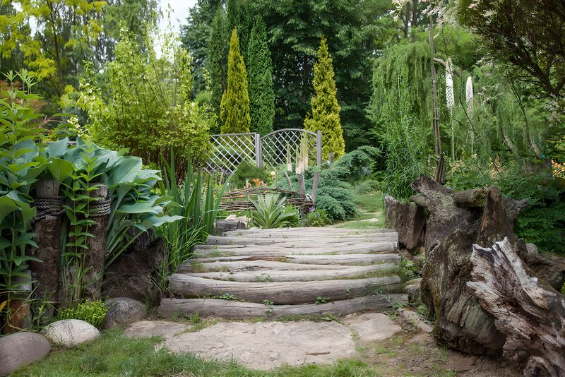 Tranquil Garden Pathway
