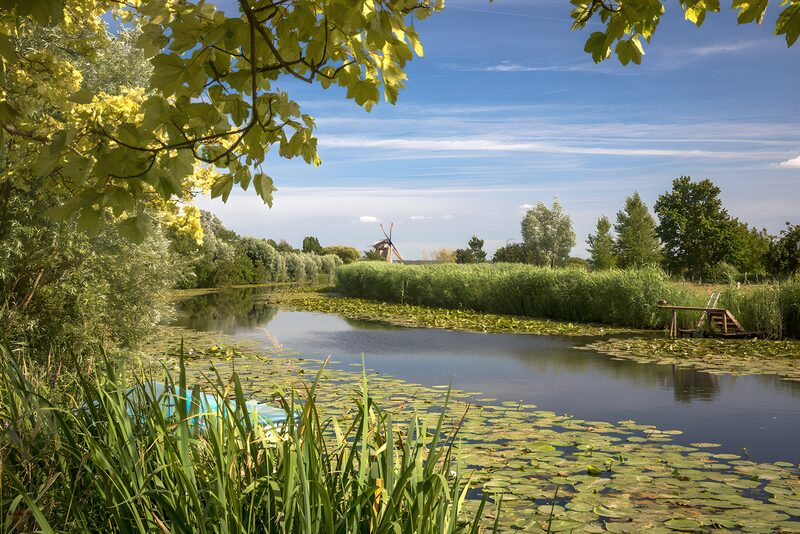 Serene Dutch Landscape with Windmill