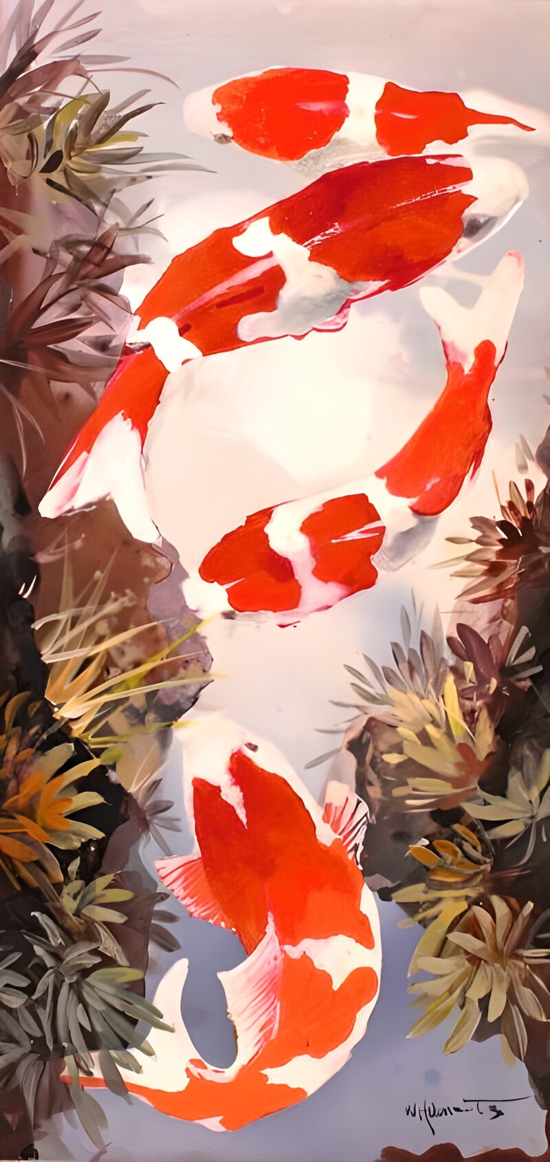 Vibrant Koi Swimming in Serenity