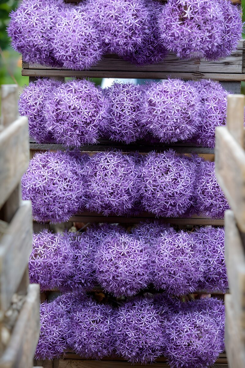 Beautiful Purple Floral Arrangement