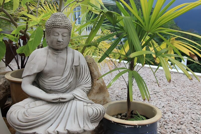Serene Buddha Statue in Tranquil Garden