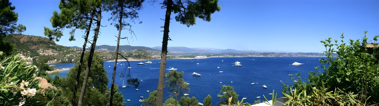 Scenic Coastal View with Yachts