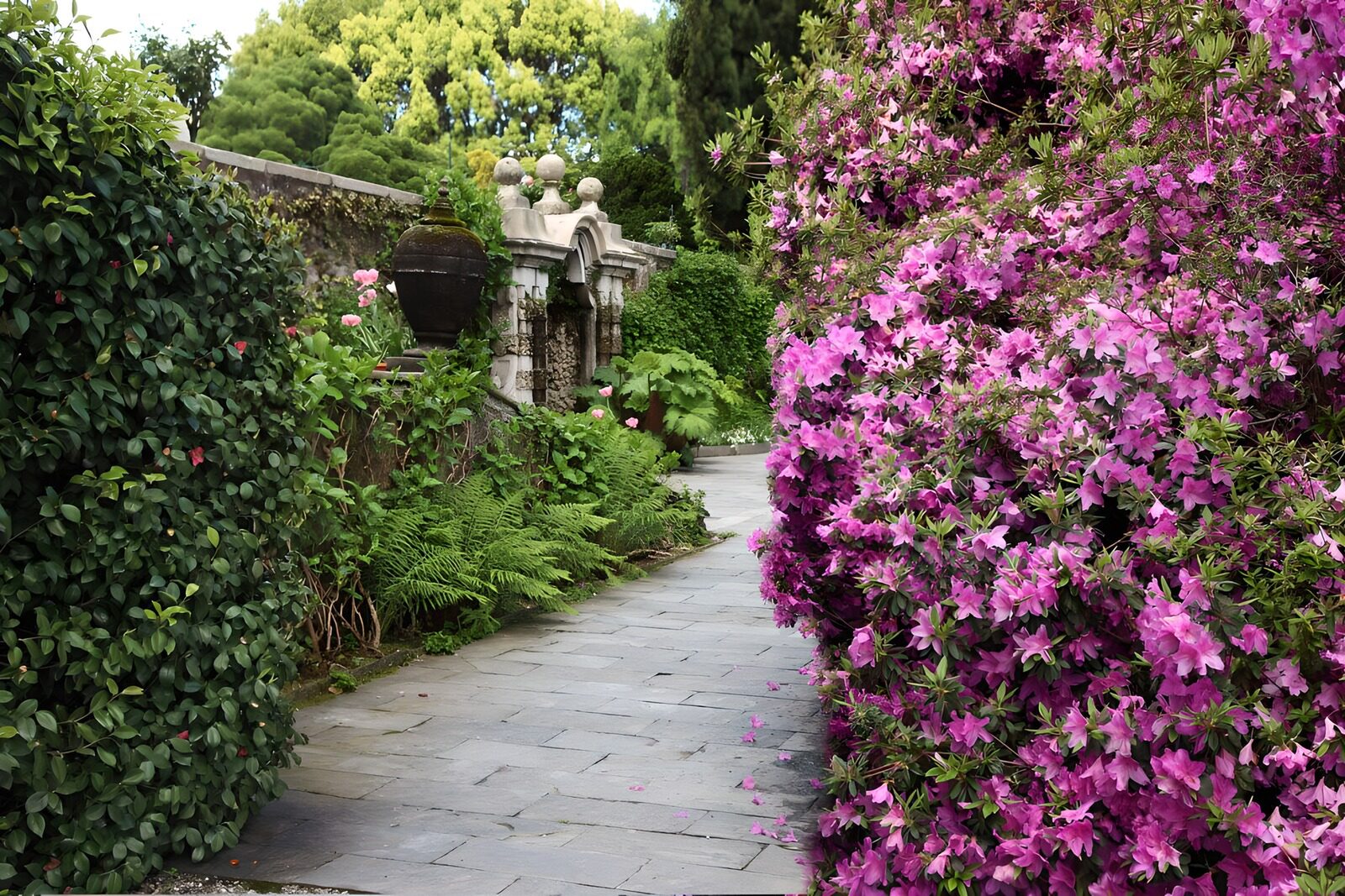 Serene Garden Pathway