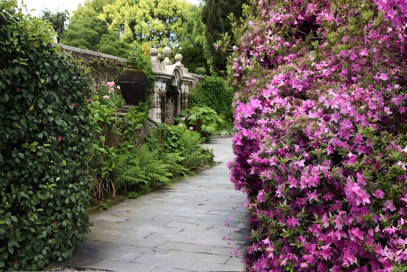 Serene Garden Pathway