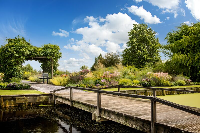 Serene Garden Bridge Under a Blue Sky