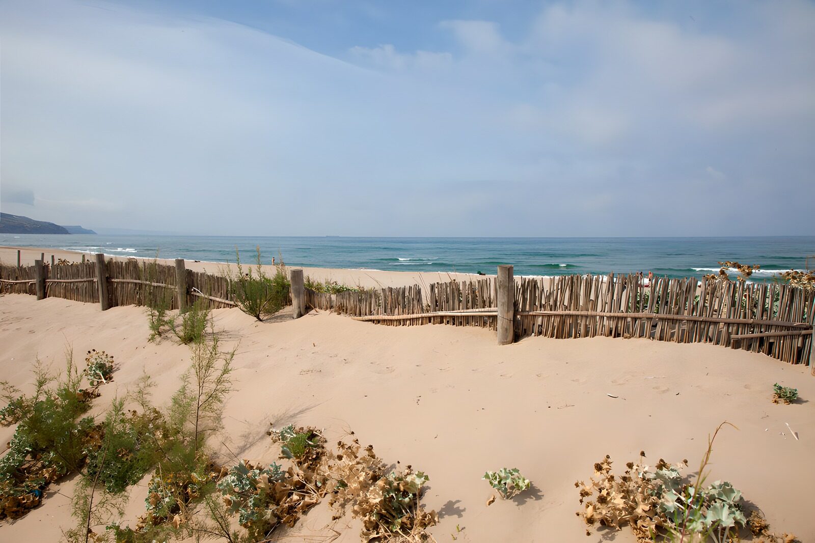 Tranquil Beach with Wooden Fence