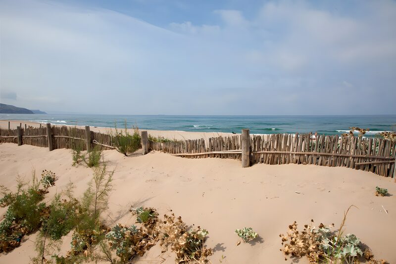 Tranquil Beach with Wooden Fence