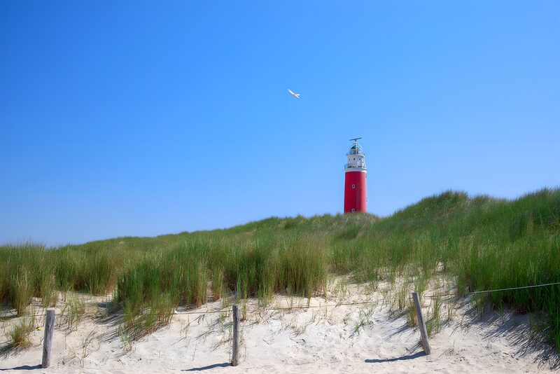 Bright Beacon in Coastal Dunes