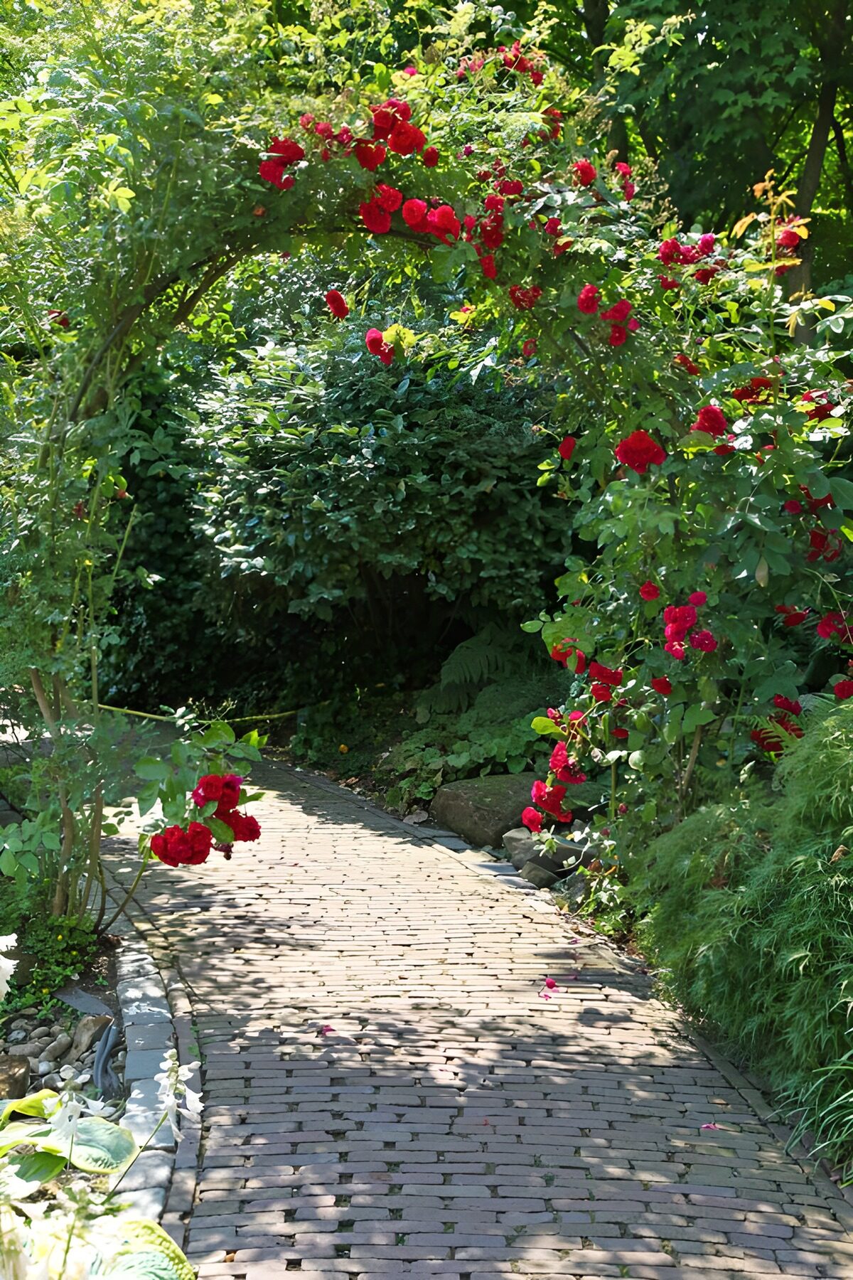 Enchanted Rose Arch in a Serene Garden
