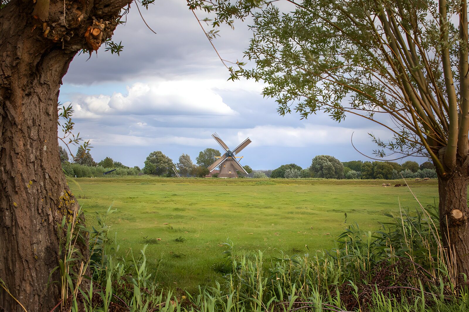 Windmill Framed by Nature