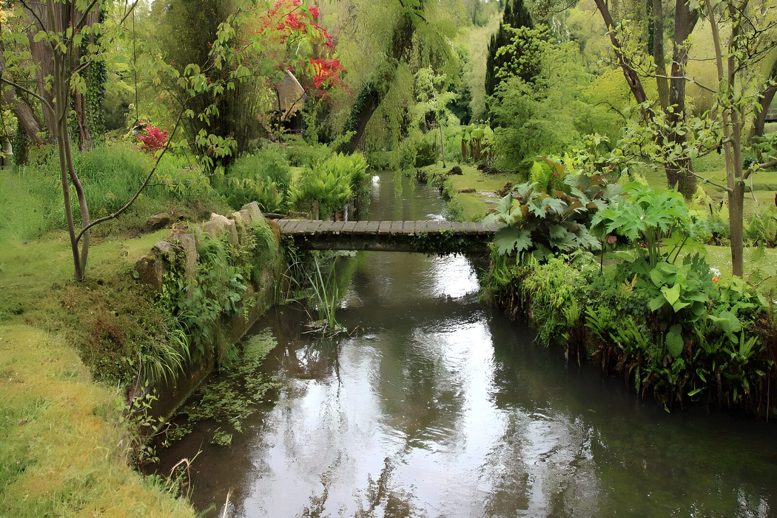 Serene Garden Bridge Over Water