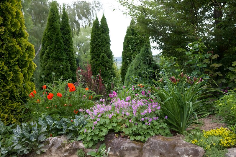 Vibrant Garden Blooms in Serenity
