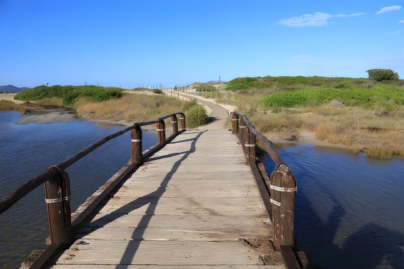Serene Wooden Pathway by the Water