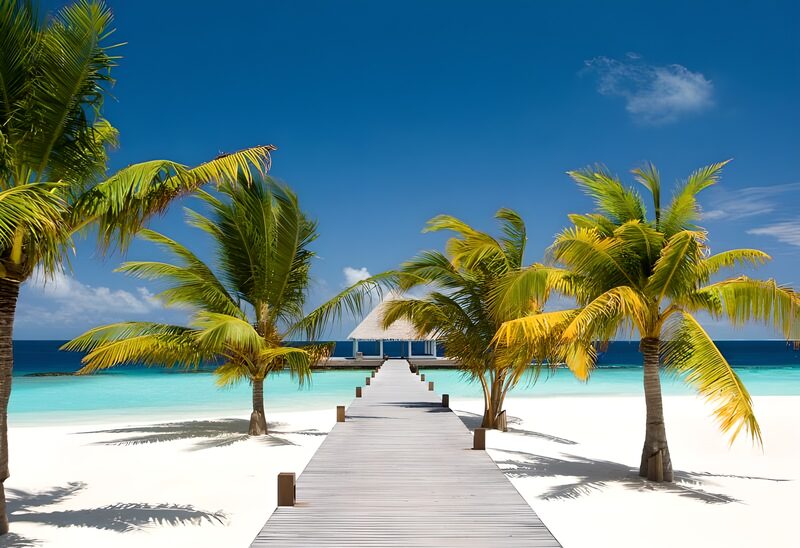 Tropical Paradise by the Sea