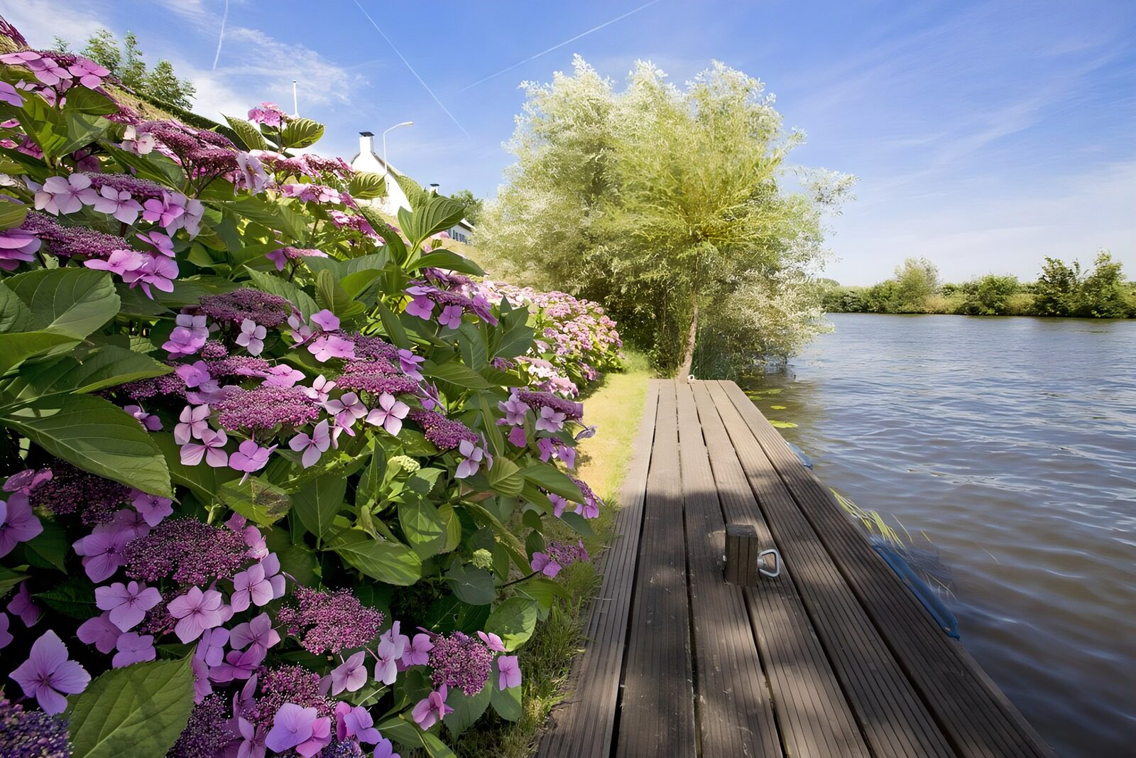 Serene Waterside Blooms