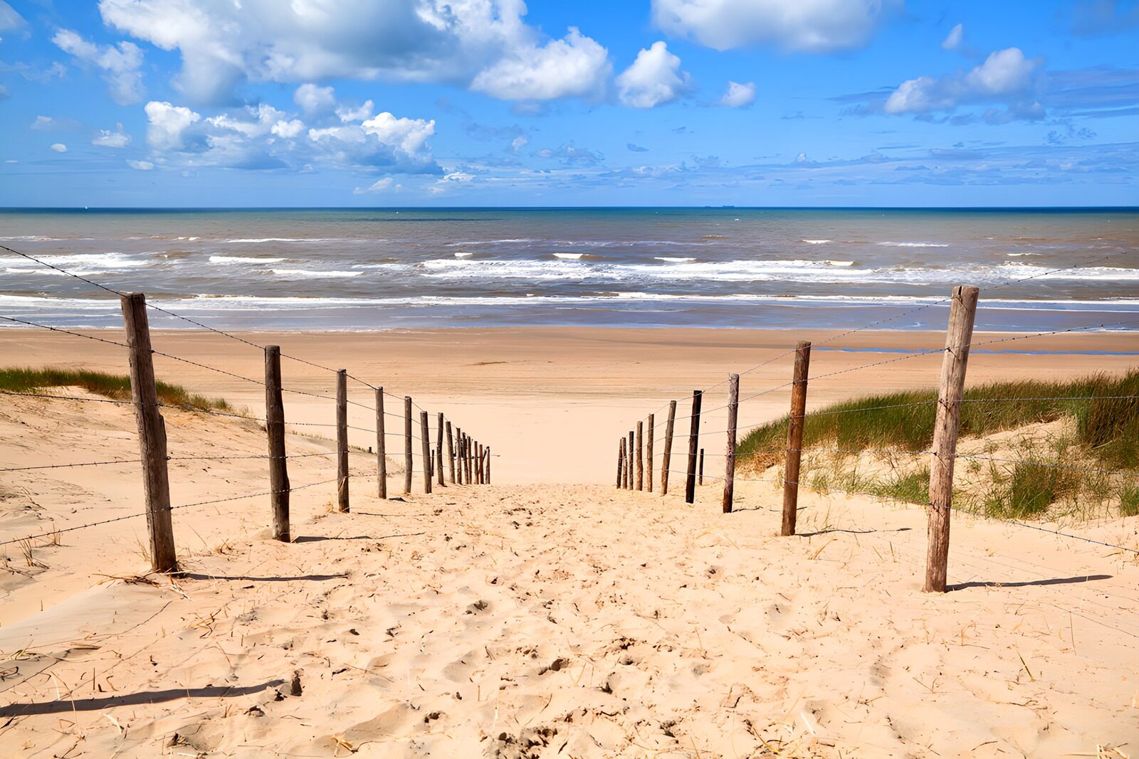 Pathway to Tranquil Shoreline