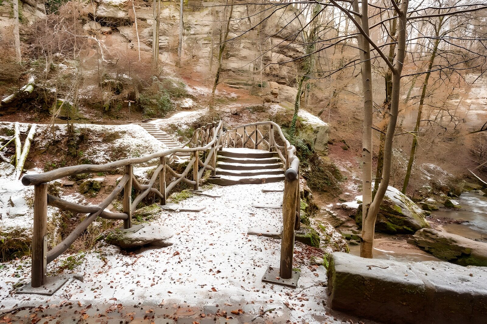 Winter Pathway Through Serene Woods