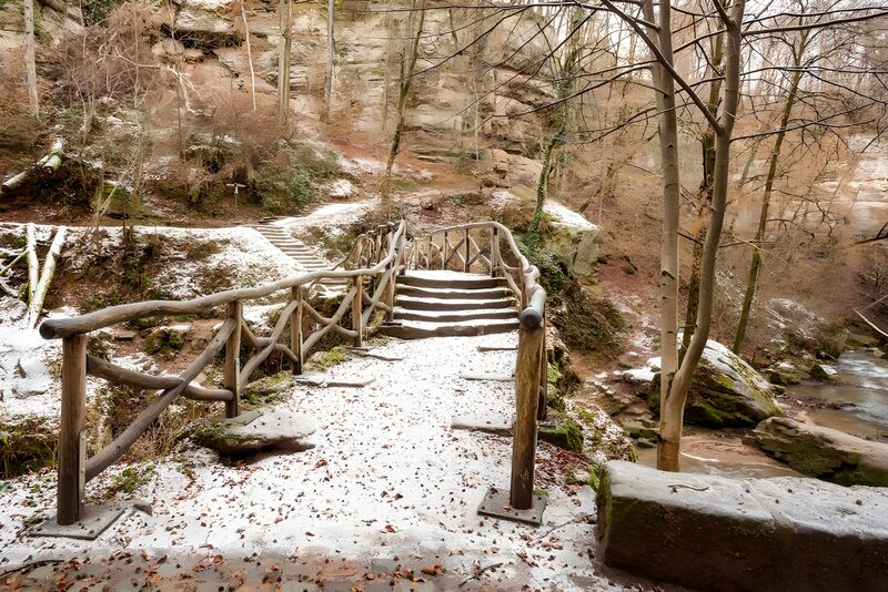 Winter Pathway Through Serene Woods