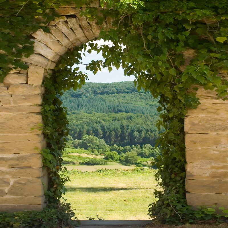Serene View Through an Archway
