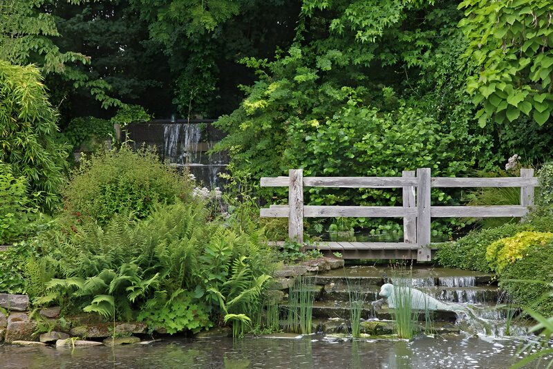 Tranquil Garden Oasis with Waterfall