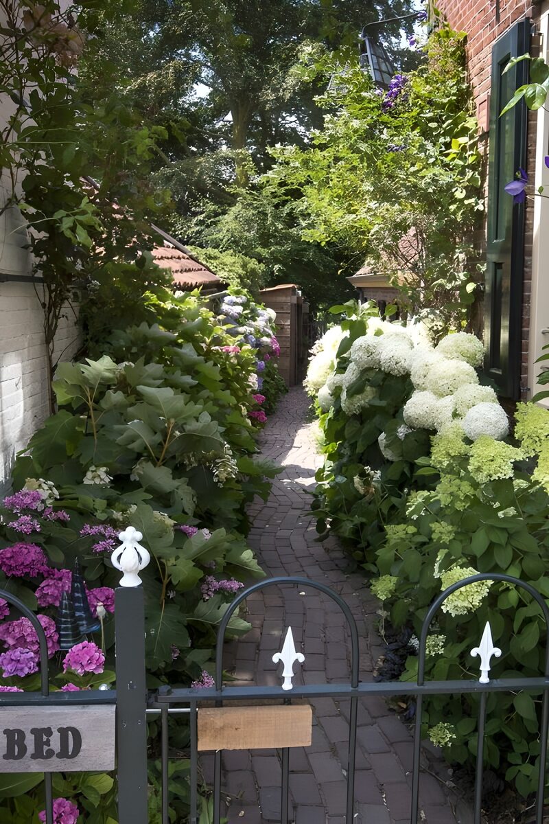 Blooming Garden Pathway