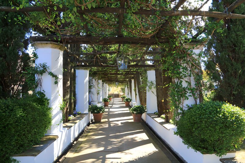 Serene Garden Walkway