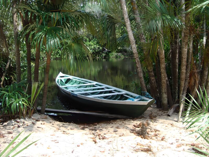 Serene Canoe Amidst Tropical Nature