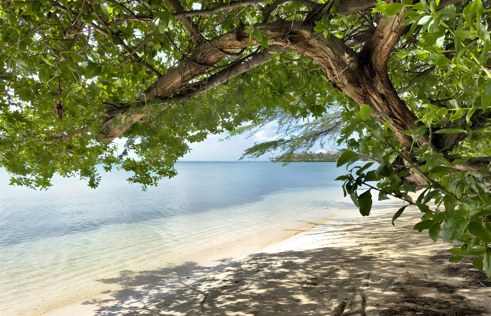 Serene Beachfront Oasis