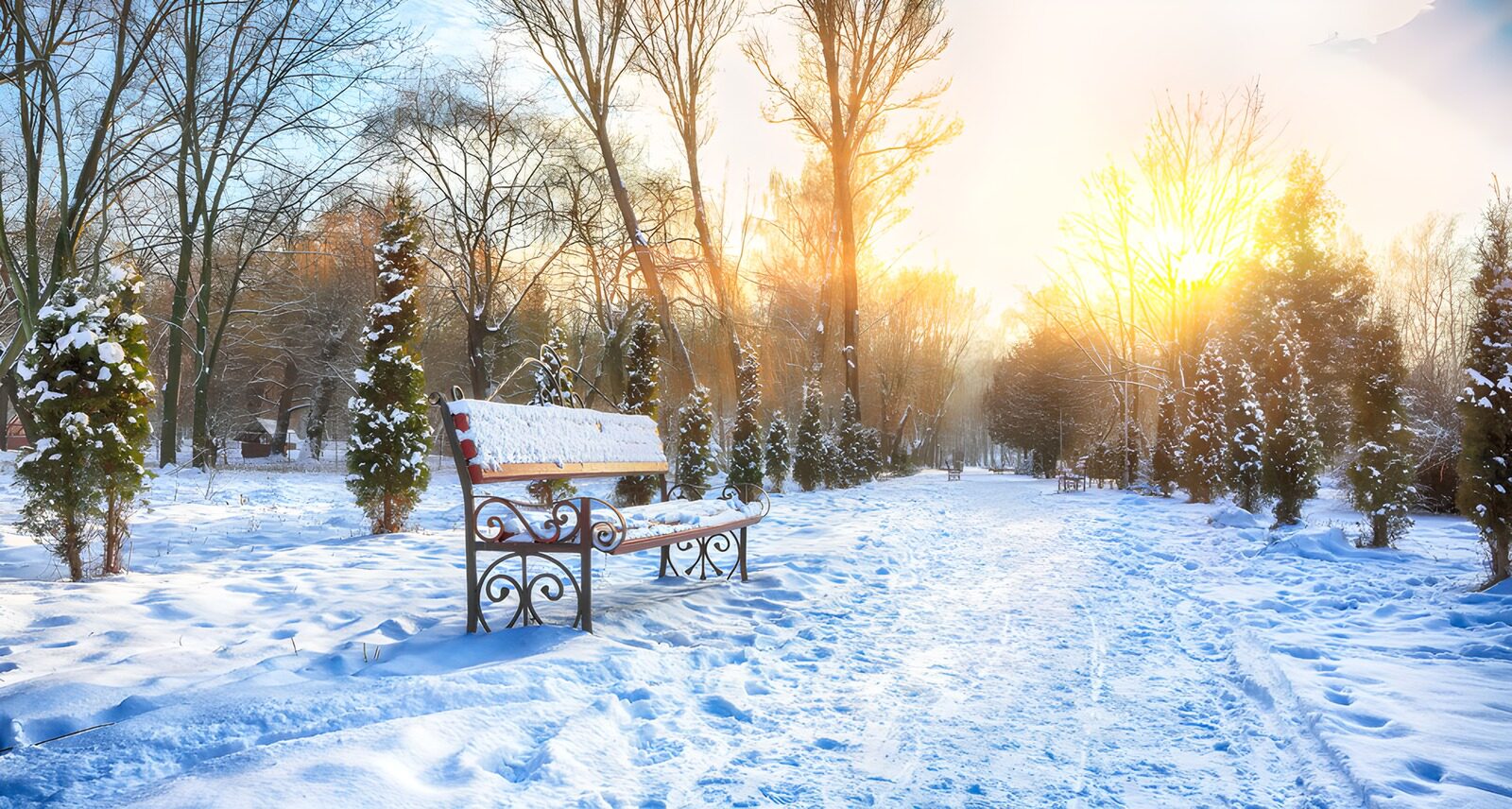 Serene Winter Park at Sunset