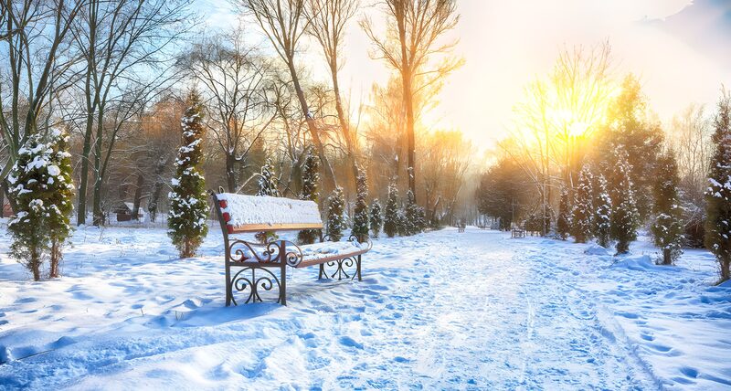 Serene Winter Park at Sunset
