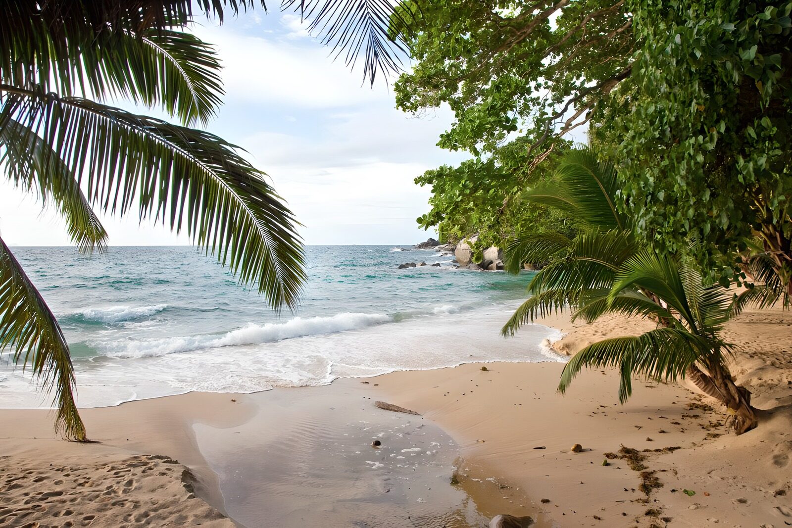 Serene Tropical Beach Escape