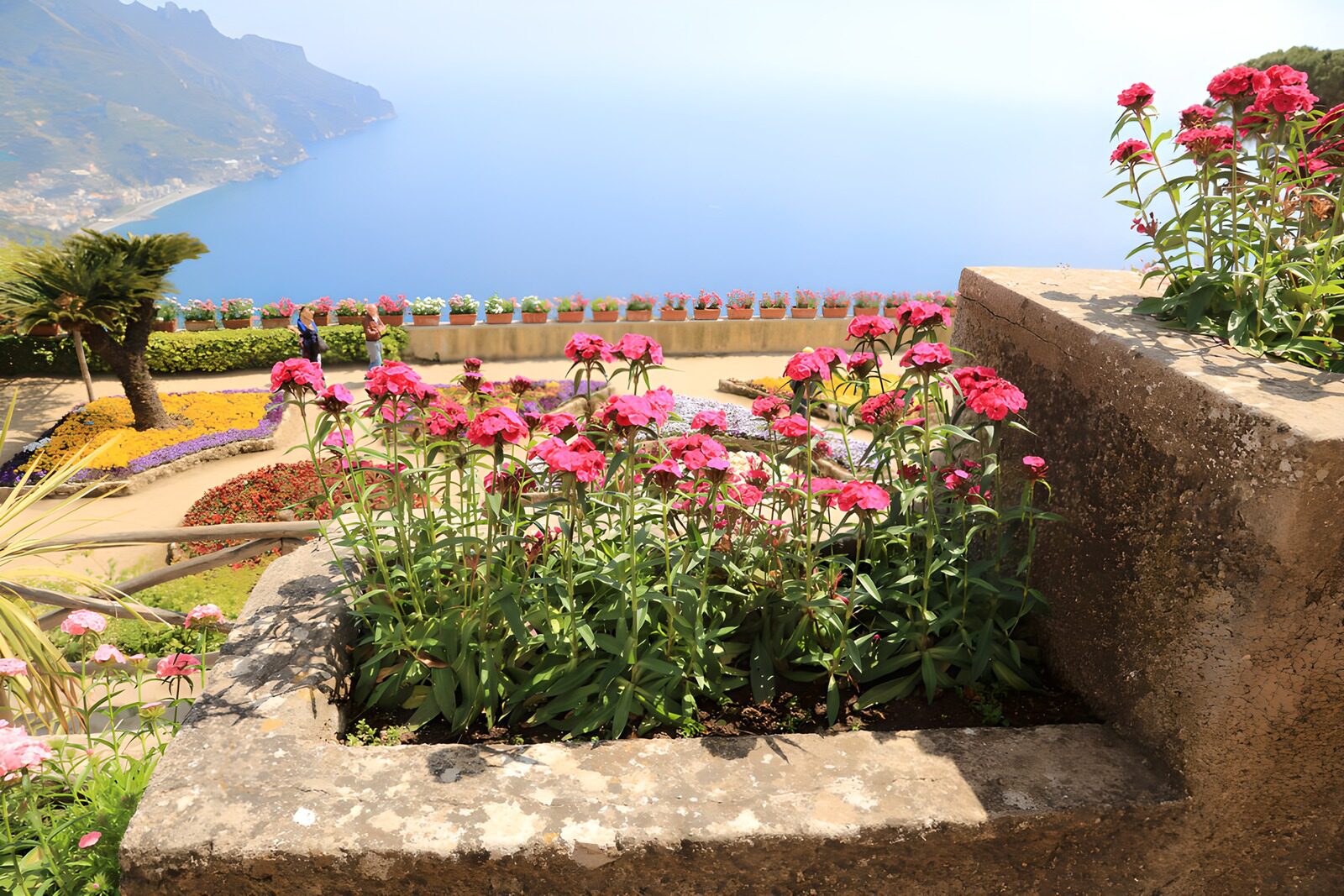 Scenic Coastal Garden with Flowers