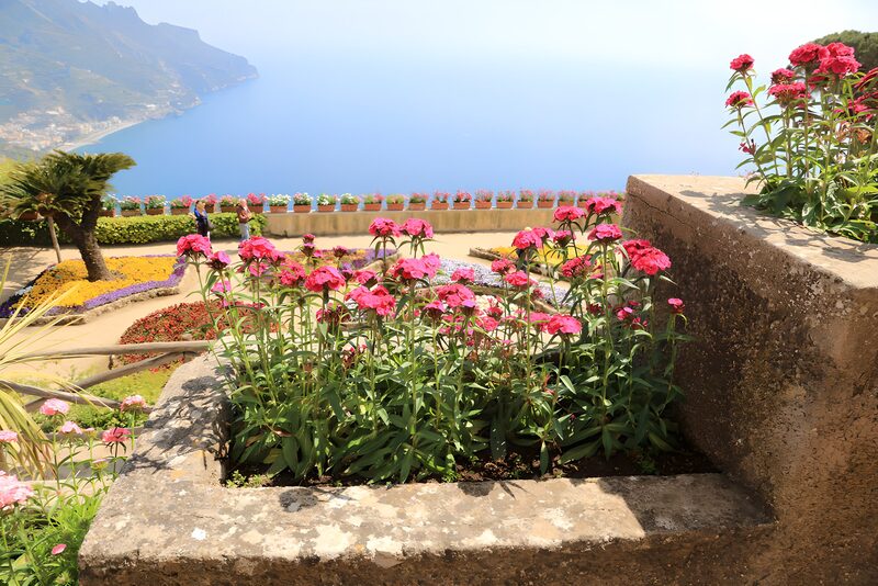 Scenic Coastal Garden with Flowers