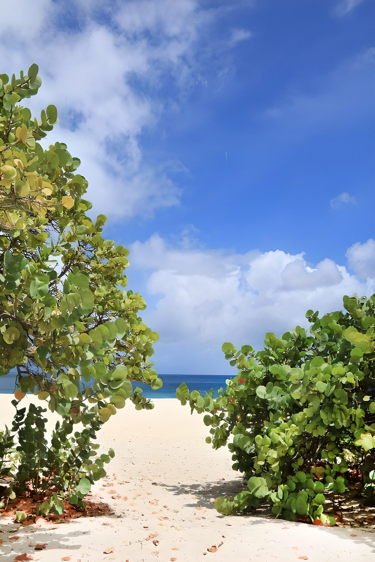Serene Beach Escape