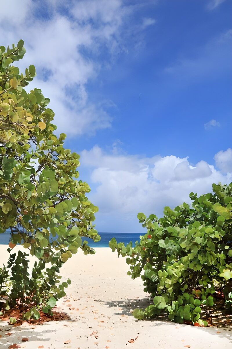 Serene Beach Escape