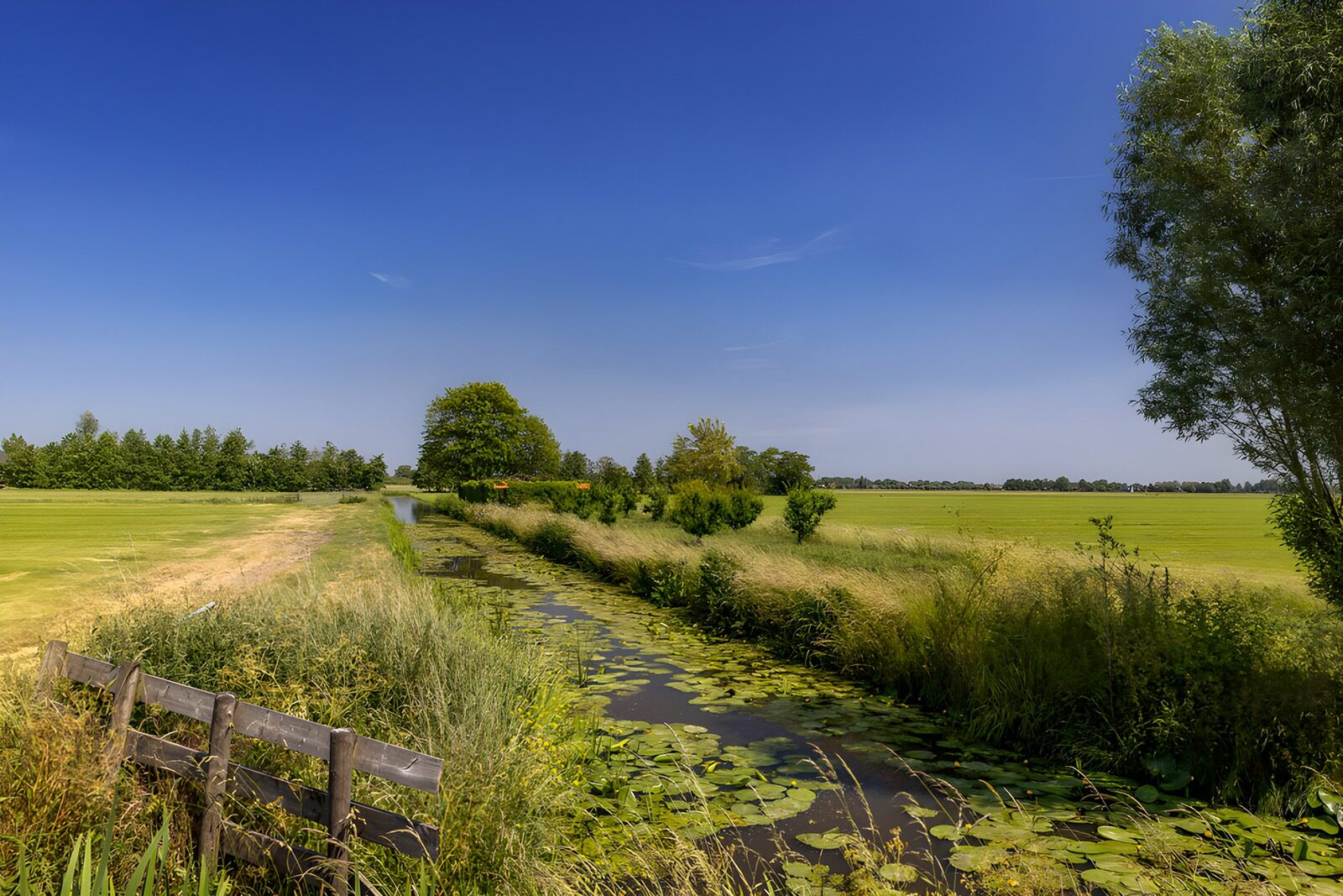 Serene Rural Landscape with Waterway