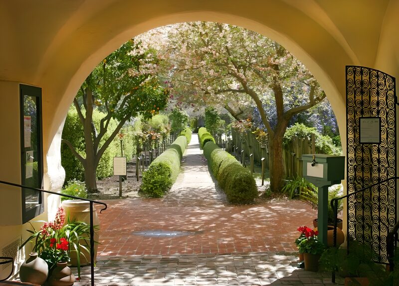 Serene Garden Pathway in Bloom