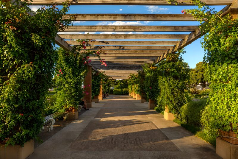 Rose Arbor in the Garden Pathway