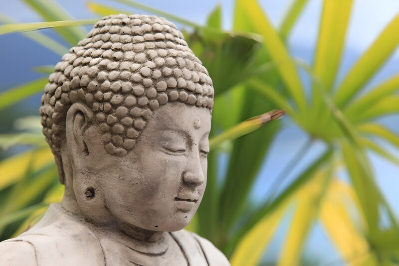 Serene Buddha Amidst Nature