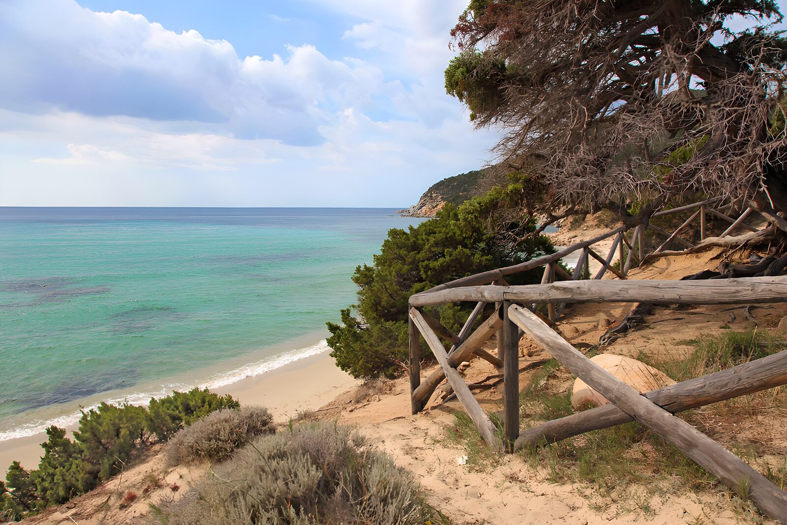 Calm Serenity by the Shoreline
