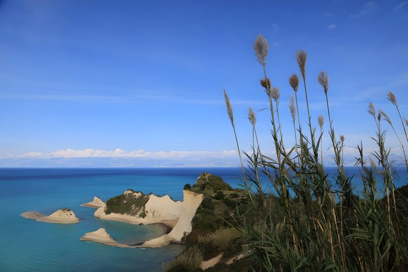 Serene Coastal Views with Reeds