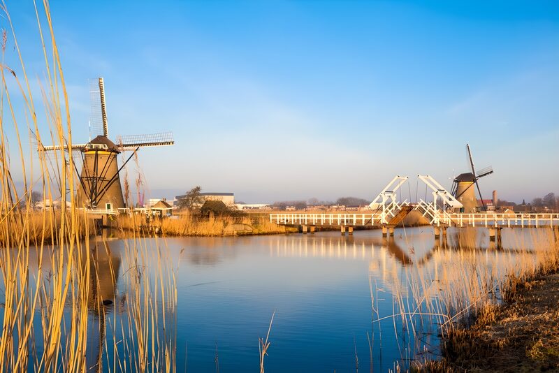 Traditional Dutch Windmills by the Water