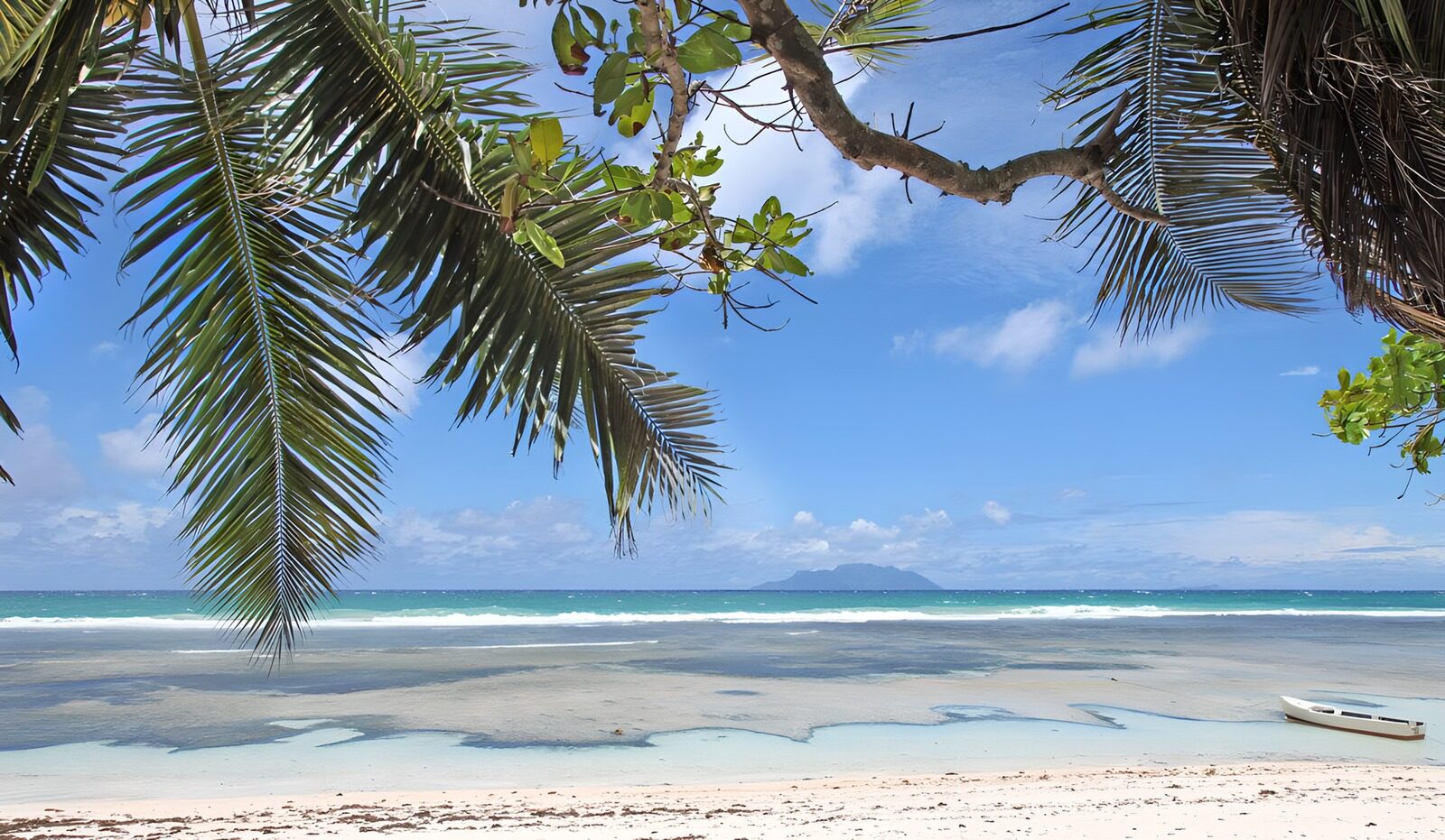 Tropical Paradise by the Sea
